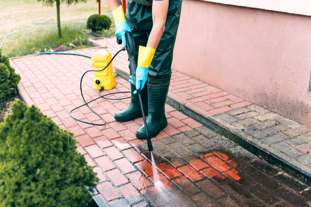 Best Roof Pressure Washing  in Drexel, OH