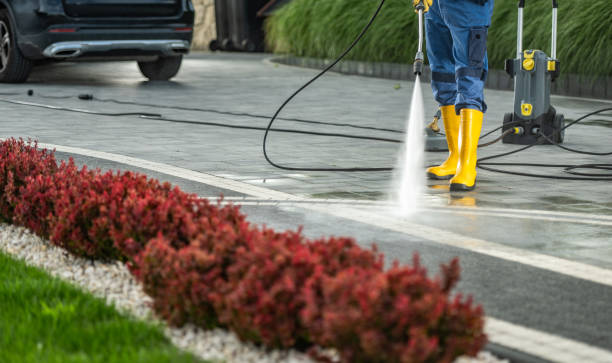 Local Pressure Washing Services in Drexel, OH